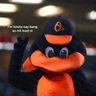 Фото профиля One Star O birds