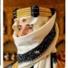 Фото профиля Ali bn gaber