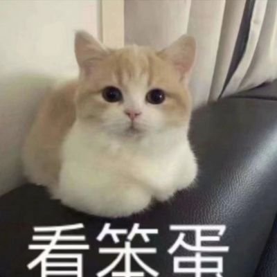sweetiekittylol's profile picture