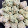 slutmuffin 的头像