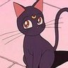 Profilbild von BooBear