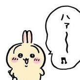 🦦みみな's profile picture