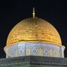 Gazan Life. غزاوي profil fotoğrafı
