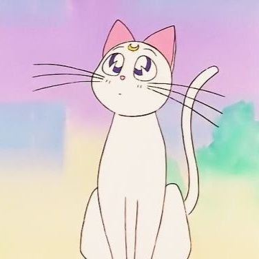 jobducku_'s profile picture