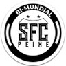 SFC PEIXE 的头像
