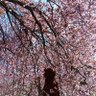 Фото профиля Meryem Uzunyol