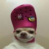 Profilbild von Gergerian02