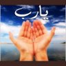 Profilbild von هدى سلام