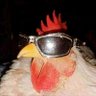 murga's profile picture