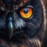 🦉 Angry Black Owl 🦉 的头像