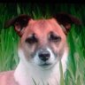 Marvin The Great !'s profile picture