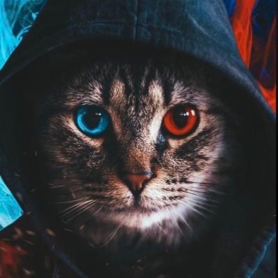 47Dontbeafraid's profile picture