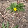 Фото профиля AmLinRoad12