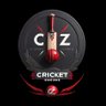 Cricstride Insights Zone profil fotoğrafı