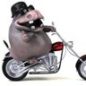 Jose Otero's profile picture