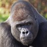 Dave W profil fotoğrafı