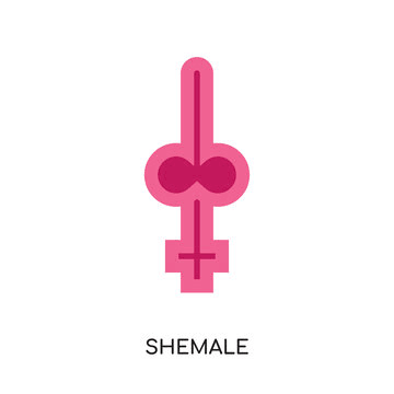 ShemaleXlovers's profile picture