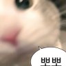 Profilbild von 끼리끼리빼