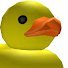 epik duck 的头像