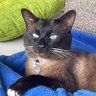 Profilbild von Felix