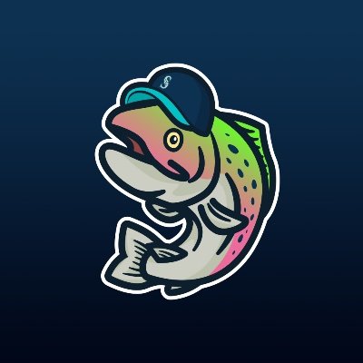 MsSalmonRun's profile picture