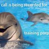 PorpoiseTrainer 的头像