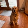 bruce cota profil fotoğrafı