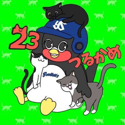 turukameYS's profile picture