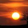 Profilbild von SUNSET