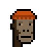 Profilbild von Jolomi_crypt📈📉