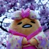 アユ☆きらきらピクラー🦊🐹's profile picture