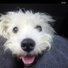エストレイラ profil fotoğrafı