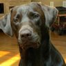 Douglas Lance's profile picture