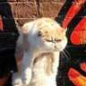 jidn profil fotoğrafı