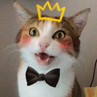 Nadine🐒☕'s profile picture