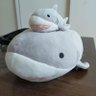 ピカピカのさめ's profile picture