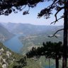 kobajagi profil fotoğrafı