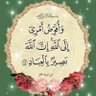 hussein ali 的头像