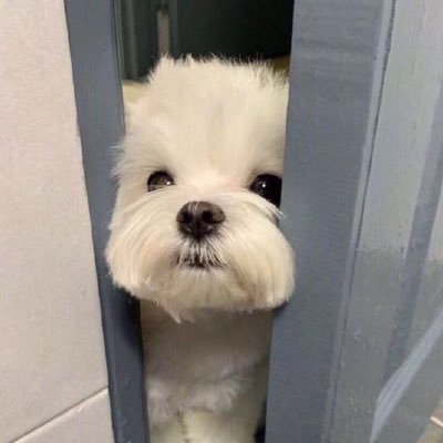 polar_421's profile picture