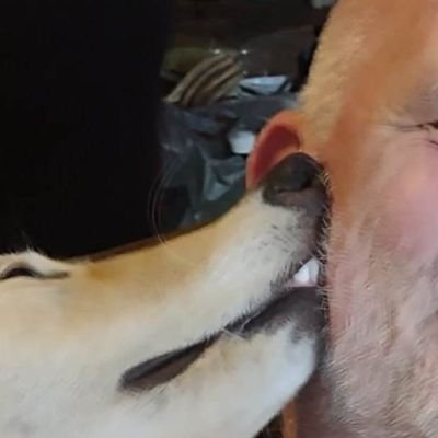 JohnBel34148836's profile picture