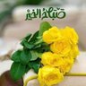 ابراهيم's profile picture