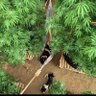 Tao bao 的头像