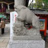 豚骨うどん profil fotoğrafı