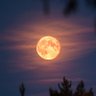 Moondancer72 profil fotoğrafı