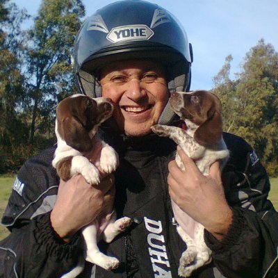 LAugustoPintoP's profile picture