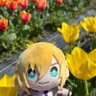 Profilbild von ほみ
