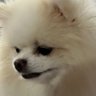 Profilbild von せいはな