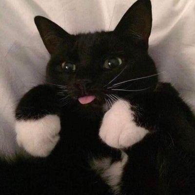 fd_myan's profile picture