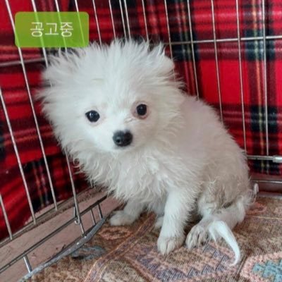 숭이일기's profile picture