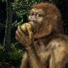 Profilbild von Oil Monkey